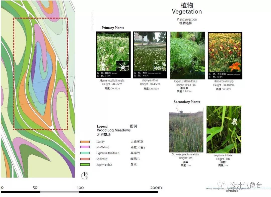 大型设计院湿地项目方案（高清）-3