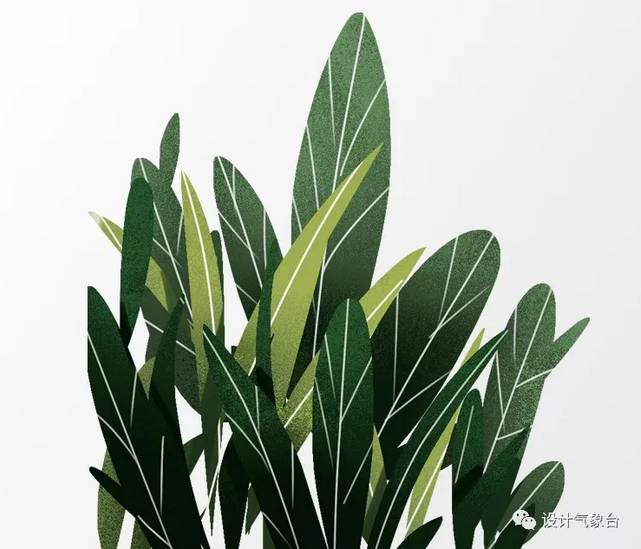 拼贴风专属植物/人物素材PSD&AI-10