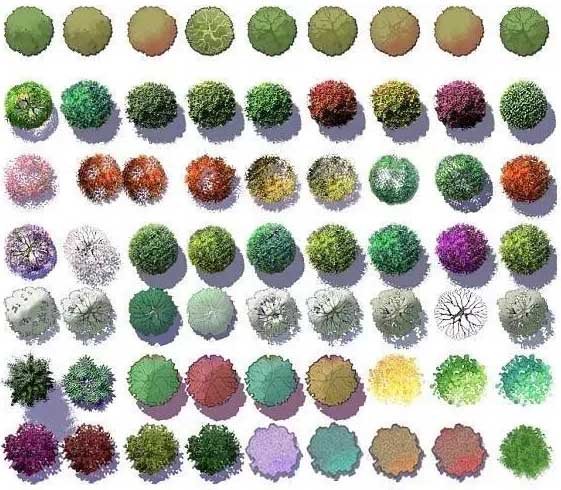 全类型彩平植物素材PSD-5