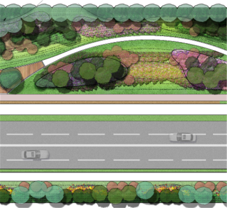 精选道路绿化设计平面+效果图合集-3
