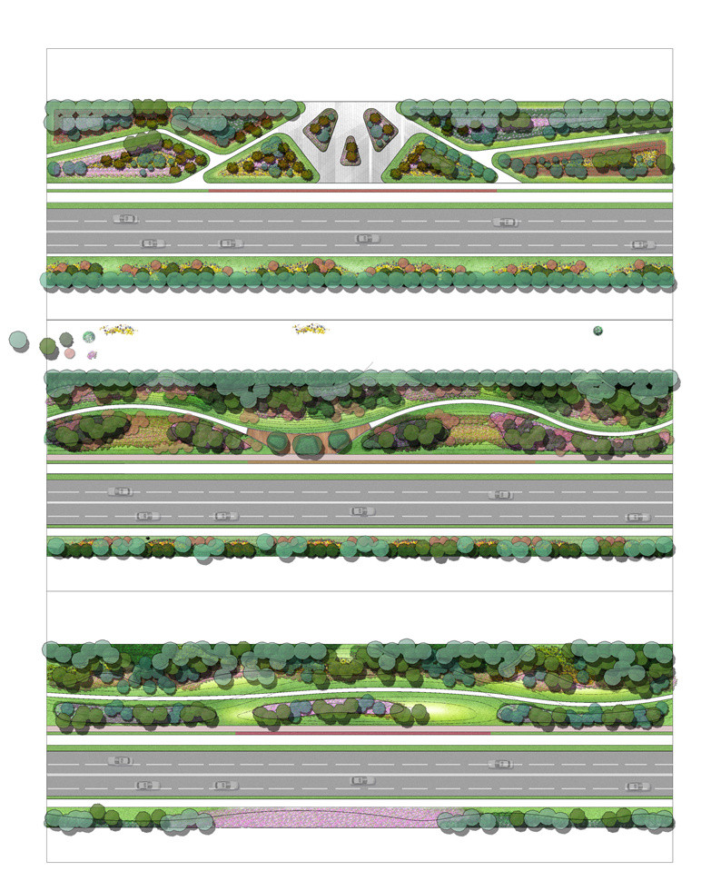 精选道路绿化设计平面+效果图合集-2
