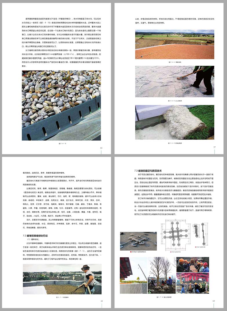 屋顶花园设计资料合集（CAD+PSD+JPG）-7