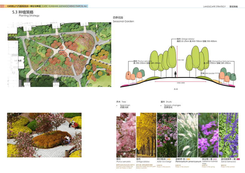大院必备住宅景观超清方案文本-5