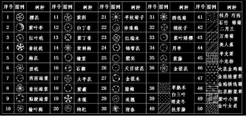 设计院必备常用景观植物CAD平立面合集-3