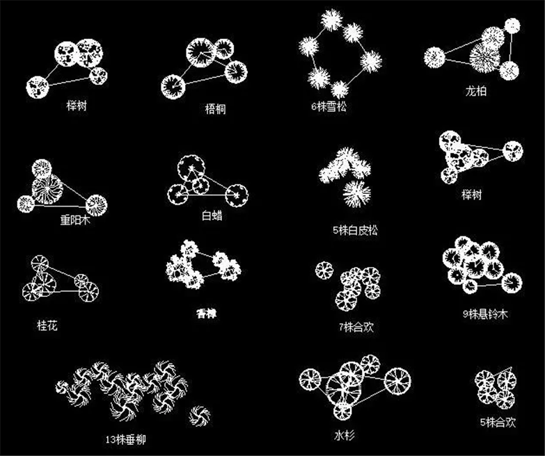 设计院必备常用景观植物CAD平立面合集-10