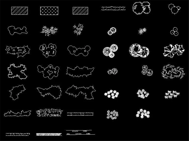 设计院必备常用景观植物CAD平立面合集-7
