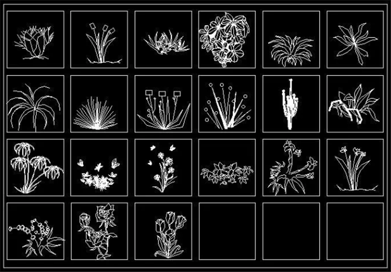设计院必备常用景观植物CAD平立面合集-15