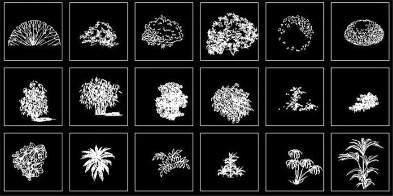 设计院必备常用景观植物CAD平立面合集-16