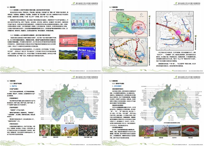 湖北省枝江市乡村振兴战略规划-1