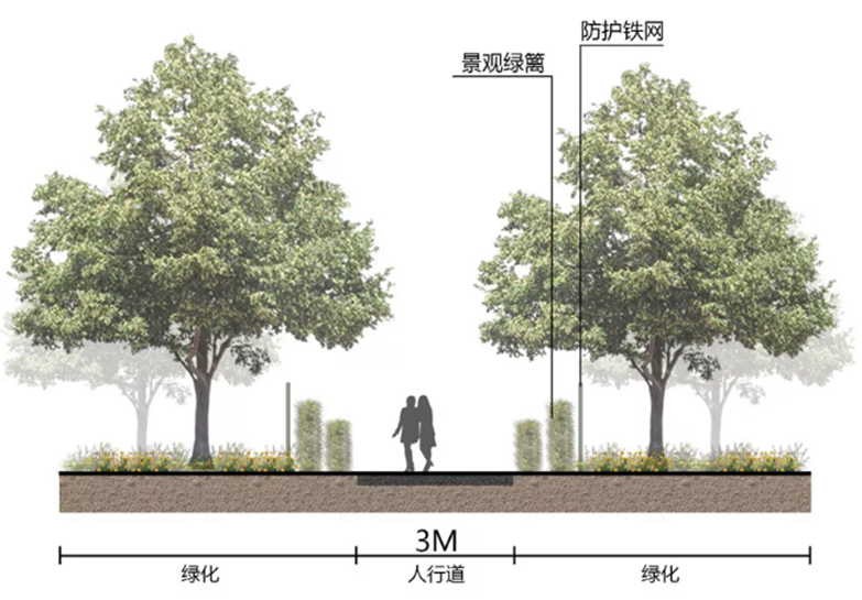 道路彩平剖面图PSD + 一键道路剖面神器-9