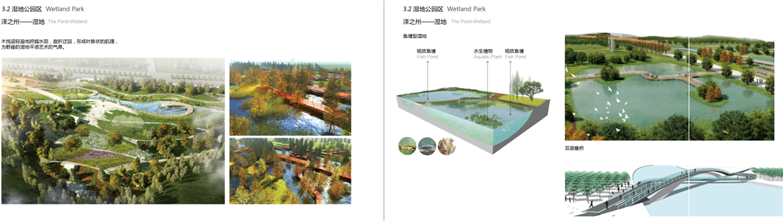 大型滨水景观生态廊道概念性规划设计-22