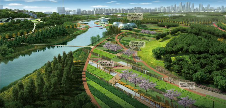大型滨水景观生态廊道概念性规划设计-30