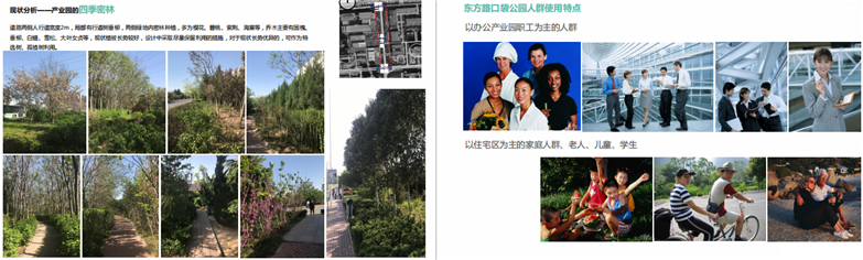 潍坊高新区东方路口袋公园工程设计-3