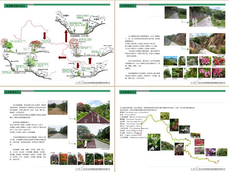 绿地系统专项-城市慢行绿道网建设案例资料合集-3