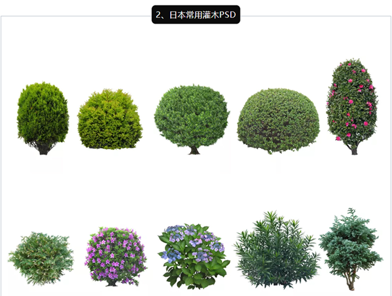 超写实日本植物PSD合集-4