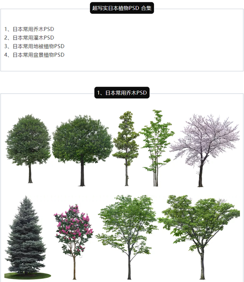 超写实日本植物PSD合集-2