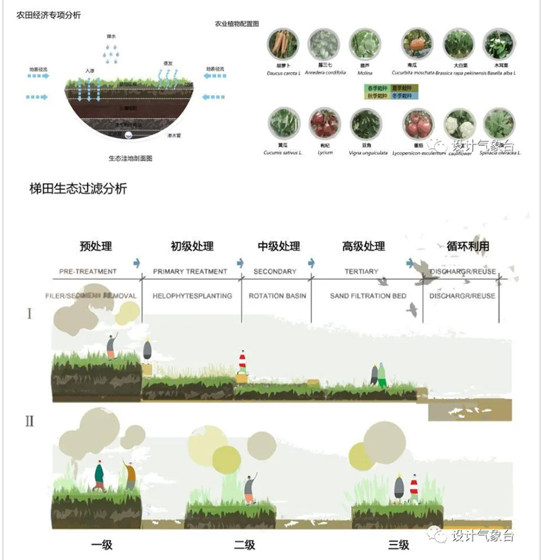 高端生态设计分析图PSD合集-4