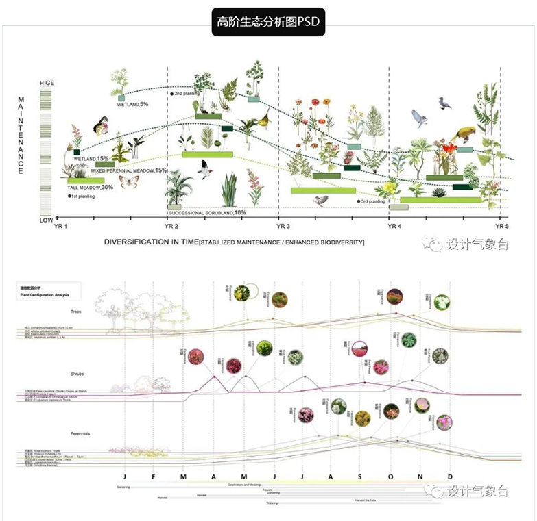 高端生态设计分析图PSD合集-5